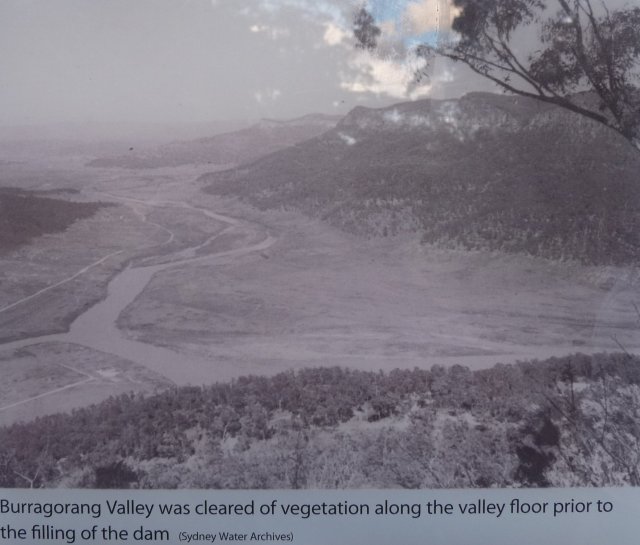 Burragorang Valley cleared of vegetation prior to flooding